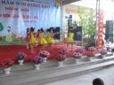 VSMT9.jpg - 