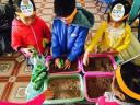 trong rau.jpg - 