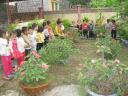 be tham quan - 